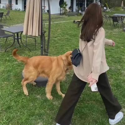 她的兽性人生